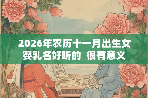 2026年农历十一月出生女婴乳名好听的  很有意义