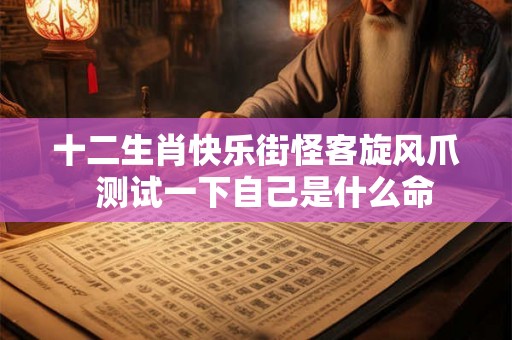 十二生肖快乐街怪客旋风爪  测试一下自己是什么命
