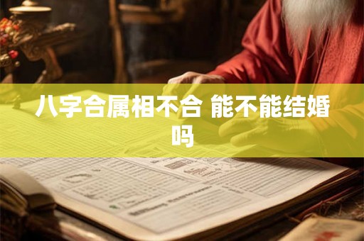 八字合属相不合 能不能结婚吗