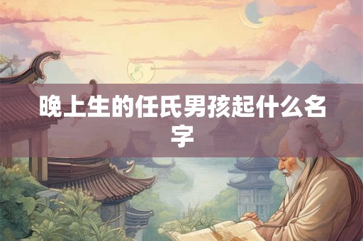 晚上生的任氏男孩起什么名字
