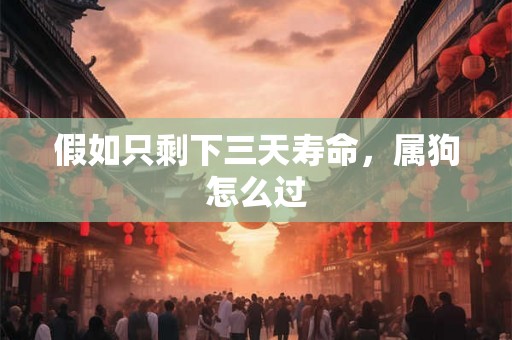 假如只剩下三天寿命，属狗怎么过