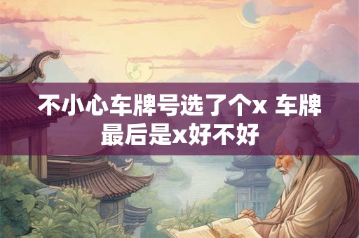 不小心车牌号选了个x 车牌最后是x好不好
