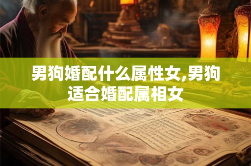 男狗婚配什么属性女,男狗适合婚配属相女