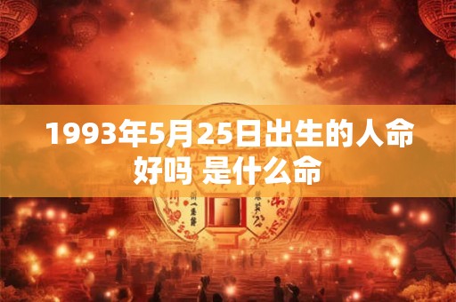 1993年5月25日出生的人命好吗 是什么命