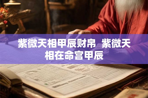 紫微天相甲辰财帛  紫微天相在命宫甲辰