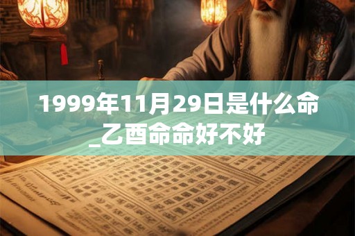 1999年11月29日是什么命_乙酉命命好不好