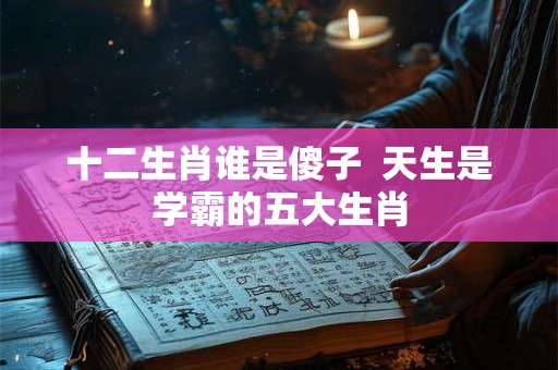 十二生肖谁是傻子  天生是学霸的五大生肖