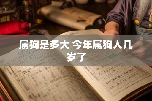 属狗是多大 今年属狗人几岁了