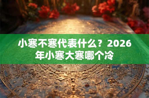 小寒不寒代表什么？2026年小寒大寒哪个冷