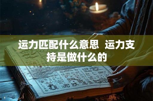 运力匹配什么意思 运力支持是做什么的 运力匹配什么意思 运力支持是做什么的