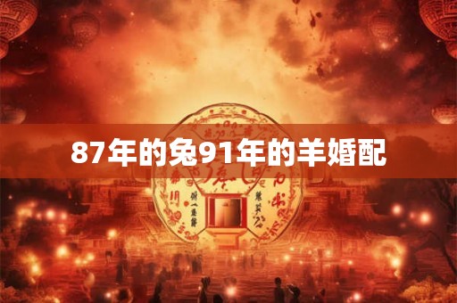 87年的兔91年的羊婚配