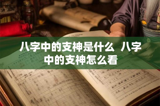 八字中的支神是什么  八字中的支神怎么看