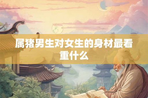 属猪男生对女生的身材最看重什么