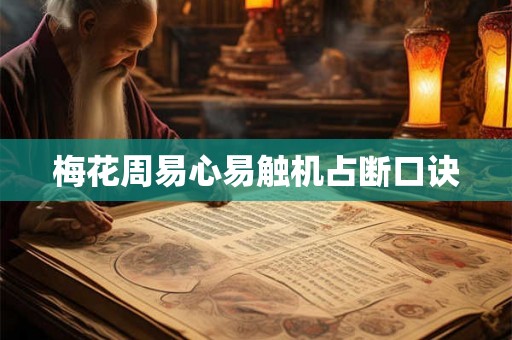 梅花周易心易触机占断口诀