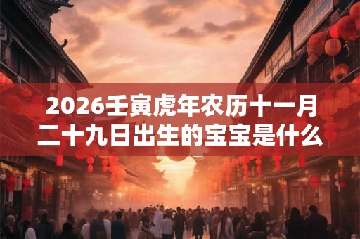 2026壬寅虎年农历十一月二十九日出生的宝宝是什么星座？