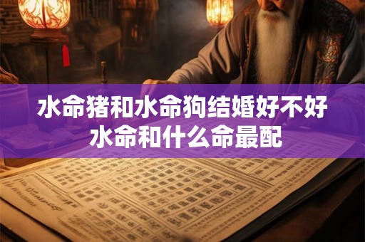 水命猪和水命狗结婚好不好 水命和什么命最配