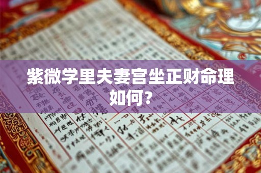 紫微学里夫妻宫坐正财命理如何？