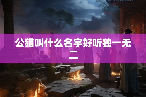 公猫叫什么名字好听独一无二