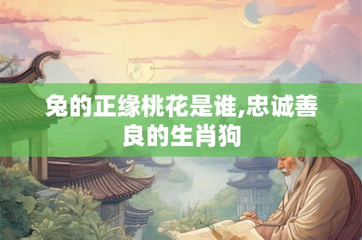 兔的正缘桃花是谁,忠诚善良的生肖狗