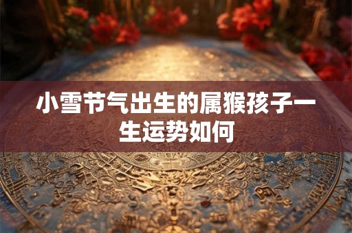小雪节气出生的属猴孩子一生运势如何