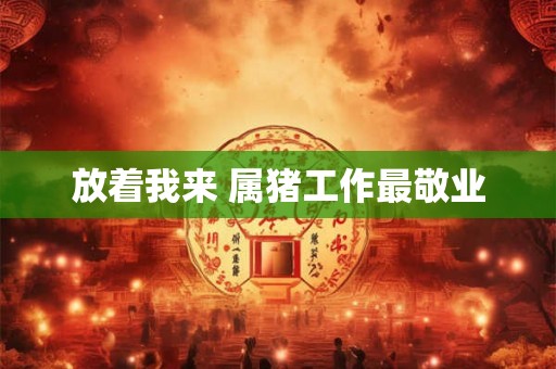 放着我来 属猪工作最敬业