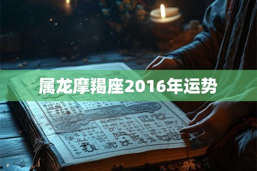 属龙摩羯座2016年运势
