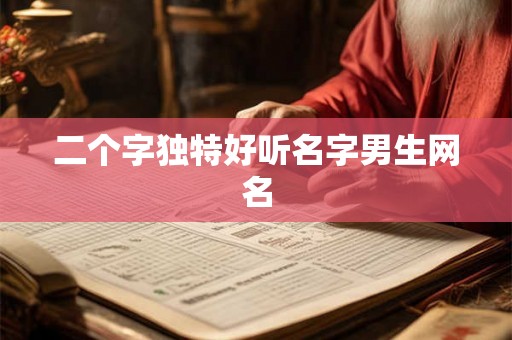 二个字独特好听名字男生网名