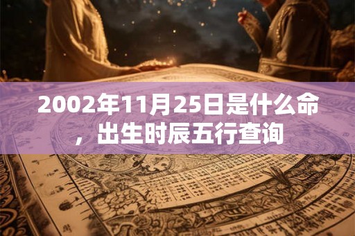2002年11月25日是什么命，出生时辰五行查询