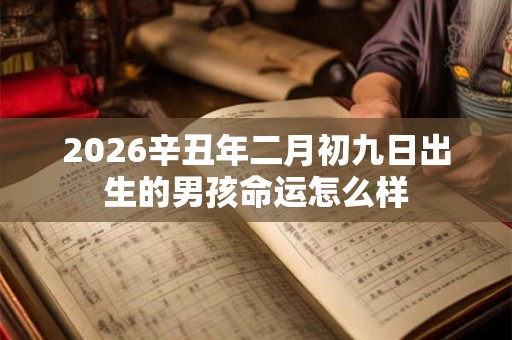 2026辛丑年二月初九日出生的男孩命运怎么样 2026辛丑年二月初九日出生的男孩命运怎么样