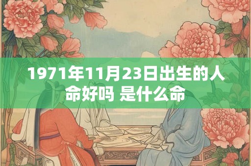 1971年11月23日出生的人命好吗 是什么命