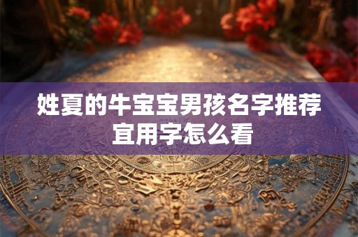 姓夏的牛宝宝男孩名字推荐 宜用字怎么看