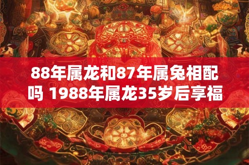88年属龙和87年属兔相配吗 1988年属龙35岁后享福 88年属龙和87年属兔相配吗 1988年属龙35岁后享福