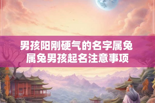 男孩阳刚硬气的名字属兔 属兔男孩起名注意事项
