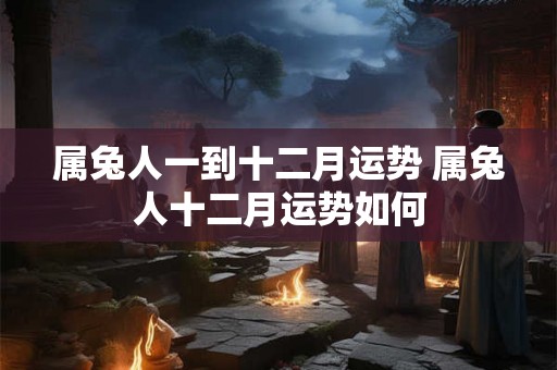 属兔人一到十二月运势 属兔人十二月运势如何