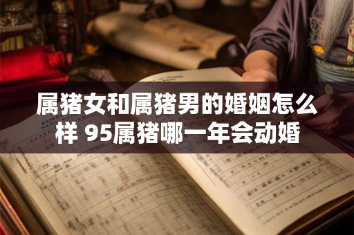 属猪女和属猪男的婚姻怎么样 95属猪哪一年会动婚