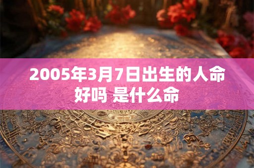 2005年3月7日出生的人命好吗 是什么命