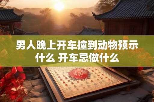 男人晚上开车撞到动物预示什么 开车忌做什么