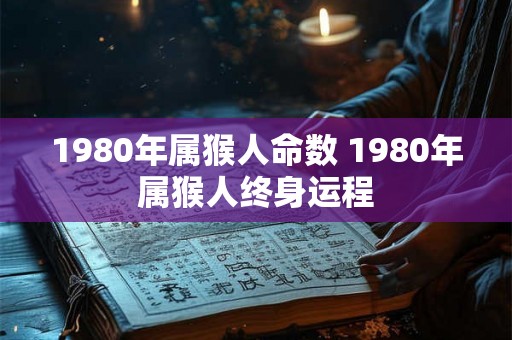 1980年属猴人命数 1980年属猴人终身运程