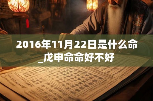 2016年11月22日是什么命_戊申命命好不好
