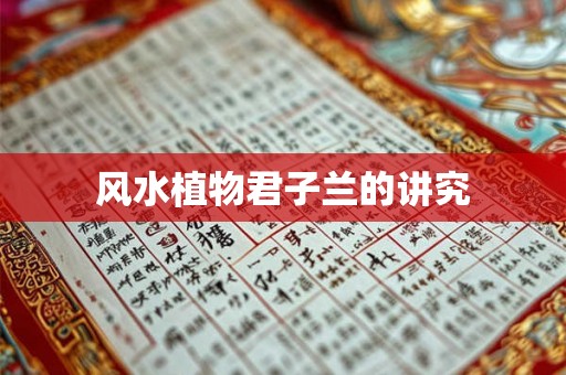 风水植物君子兰的讲究