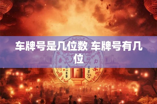 车牌号是几位数 车牌号有几位