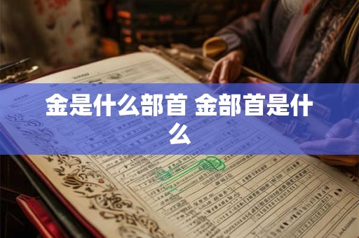金是什么部首 金部首是什么