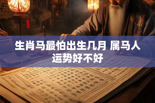 生肖马最怕出生几月 属马人运势好不好