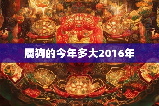 属狗的今年多大2016年