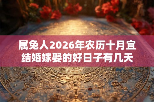 属兔人2026年农历十月宜结婚嫁娶的好日子有几天