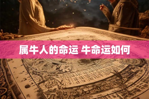 属牛人的命运 牛命运如何