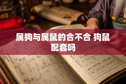 属狗与属鼠的合不合 狗鼠配套吗