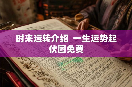 时来运转介绍  一生运势起伏图免费