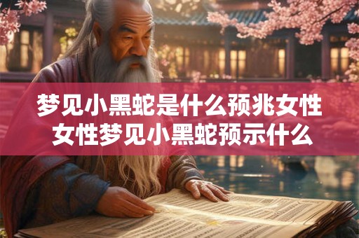 梦见小黑蛇是什么预兆女性 女性梦见小黑蛇预示什么