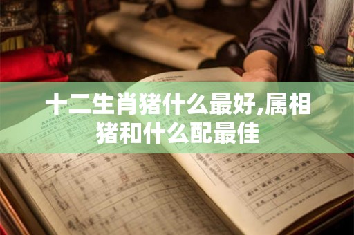 十二生肖猪什么最好,属相猪和什么配最佳